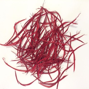 Vente en gros plumes d'oie rayées <span class=keywords><strong>Biot</strong></span> à <span class=keywords><strong>vendre</strong></span> pas cher - Product Image 2