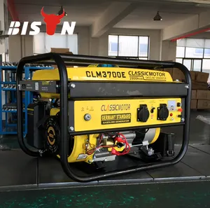 BISON CHINA 6KW LPG Generator Cadangan Alami Gas Propana Generator Silinder Tunggal Portable Generator Listrik