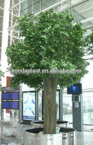 Barato Gran Árbol de Ficus Artificial/<span class=keywords><strong>Bonsai</strong></span> Ficus Microcarpa/Artificial de Árboles de Higuera de bengala - Product Image 3