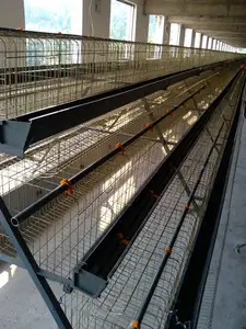 Egg Layer Chicken Farm Cage of A type for Farm with 3layer,4layer,5layer (Hot galvanized/Electric galvanized)