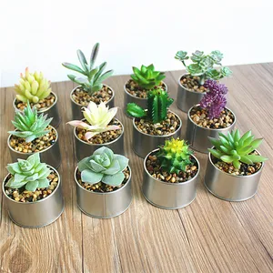 Sehr realistische kleine künstliche Pflanzen Topf Sukkulenten für die Schreibtisch dekoration