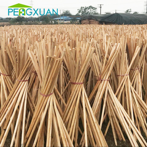 Productos <span class=keywords><strong>de</strong></span> Jardinería al por Mayor, Estaca <span class=keywords><strong>de</strong></span> Madera Natural con Logotipo Estampado en Caliente - Product Image 3
