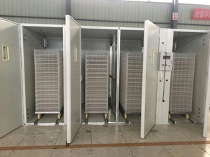 Mô hình bán chạy nhất XY-19000 trứng lồng ấp với giá rẻ giá máy ấp hot doanh số bán hàng trong Ghana - Product Image 4