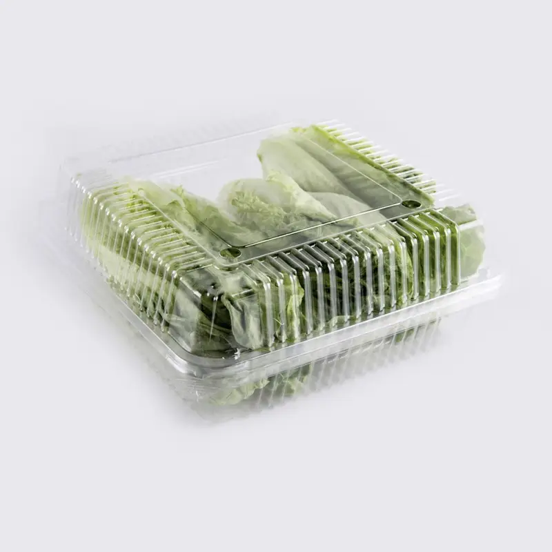 Réutilisable PET Plastique Clamshell Punnet Plateau de Stockage Jetable Alimentaire Légumes Fruits Supermarché Qualité Contenants de Fruits Transparents