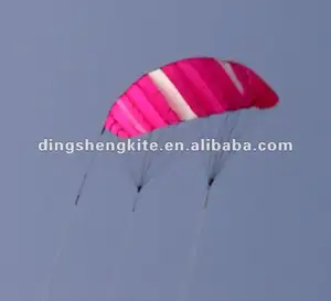 Alta calidad quad línea de la cometa de stunt kite paracaídas cometa