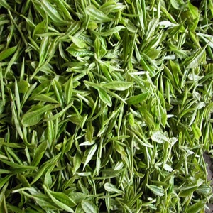 Ingredientes Naturales 95 por ciento polvo EGCG <span class=keywords><strong>extracto</strong></span> de té <span class=keywords><strong>verde</strong></span> - Product Image 3