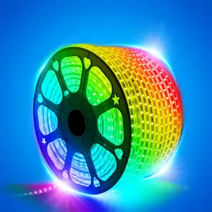 LED Strip Light Waterproof LED Tape AC 220V SMD 5050 RGB 60LED Flexible LED Light strip for Living Room Outdoor Lighting