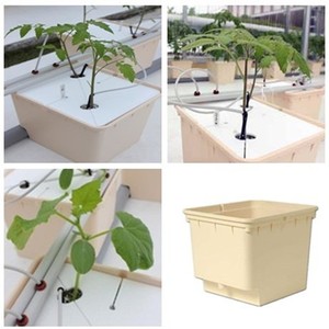 <strong>Hydroponics</strong> Dutch Buckets for Tomatoes <strong>Peppers</strong> - Product Image 6