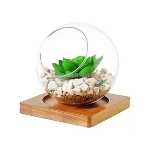 批发家居装饰手工圆玻璃地球植物 terrarium