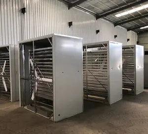 19000 eggs solar energy egg incubators sales in Dezhou