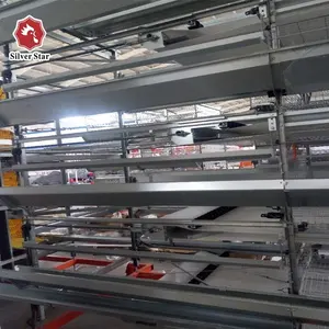 Tipo H/Telaio Automatico Pollame Pollo Coop Gabbia per Galline Ovaiole