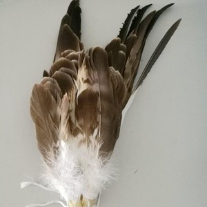 Bán Hot Big Rare <span class=keywords><strong>Eagle</strong></span> Tail Feather Cho Trang Phục Và Mũ Nón - Product Image 2