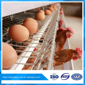 Jaulas de aves de corral <span class=keywords><strong>para</strong></span> la venta <span class=keywords><strong>para</strong></span> la capa de cría - Product Image 6