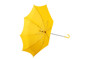 lo que de nuevo es <span class=keywords><strong>el</strong></span> mejor paraguas para comprar pet para paraguas de perro y gato - Product Image 3