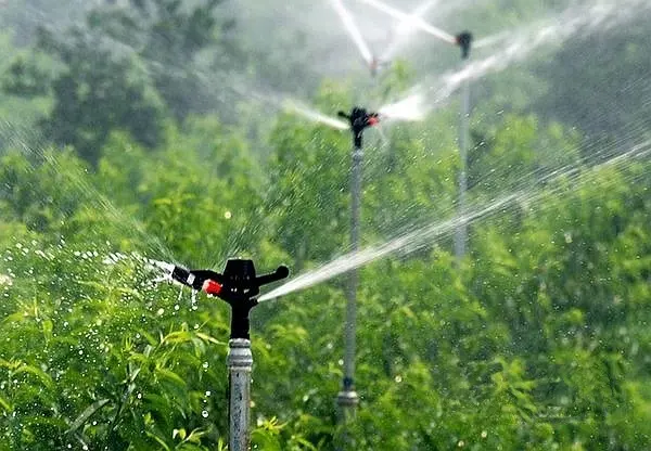 Mâle D'irrigation Agricole Fort Impact Arroseur