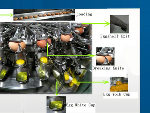 Máy Phá trứng-tách lòng trắng trứng và lòng đỏ trứng - Product Image 3