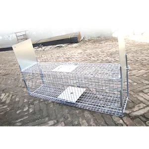 Vendita diretta della fabbrica gabbia trappola utilizzato per donnola martora gatto gabbia trappola Doppia Porta di Ingresso Pieghevole Animale Gabbia Trappola