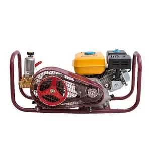 Draagbare 4 Takt Hondagx160 Motor Mini Landbouw Benzine Benzine Power Spray Pomp Machine Prijs