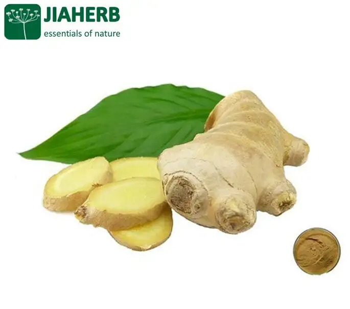 JIAHERB 18 Jaar 6 Fabrieken Bieden 100% Pure Natuurlijke Plantaardige Extract Gember Extract Zingiber officinale 5% Gingerols (HPLC)