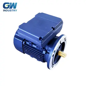 GW IEC monofásico potencia fraccionaria motor asíncrono