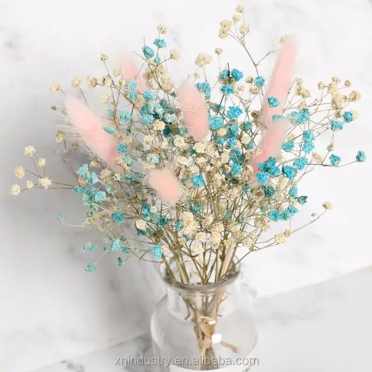 House decoration interior living room gift flower dry baby breath flower babysbreath dried gypsophila flowers