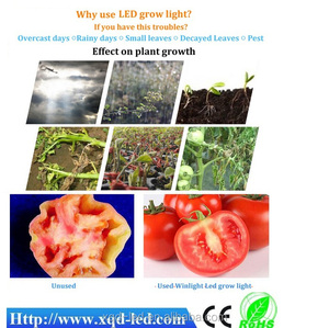 Shenzhen XQD poder más elevado 12 W Nova led crece luces para las plantas - Product Image 5