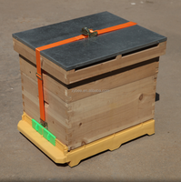 Plateau inférieur multifonction en plastique pour ruche, neuf, fournitures d'apiculture en provenance de Chine