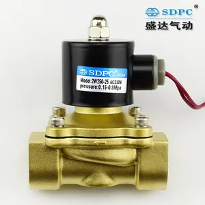 2 Posisi 2 Cara Kuningan 2w250-25 Air Solenoid Valve untuk Air dan Minyak