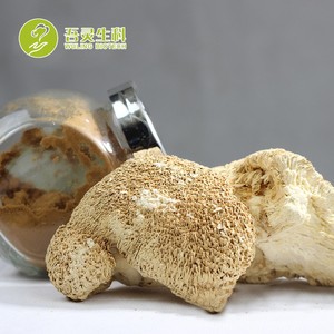 Kruidenplantensupplement Leeuwenmanenextract Champignonpoeder Voedsel Wuling Vruchtlichaam 10:1 20:1 Maitake Champignonextract Poeder - Product Image 2