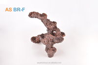 Accesorio de acuario de roca viva bioactivo, paisaje de arrecife de Coral de cerámica moderno con función para decoración para sala de estar, 2017