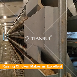 Tianrui Volaille De Ferme De Poulet Prix de L'équipement pour Couche/Chair/Poulette/Éleveur - Product Image 2