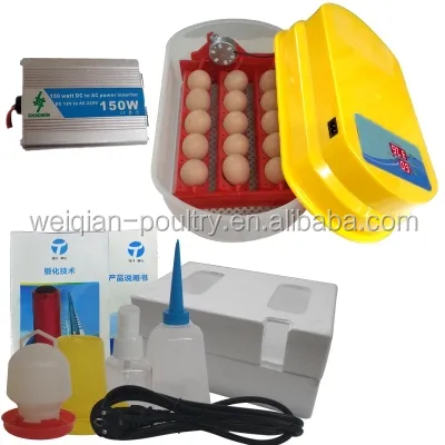 Incubatrice kerosene operato wq-15 mini incubatore