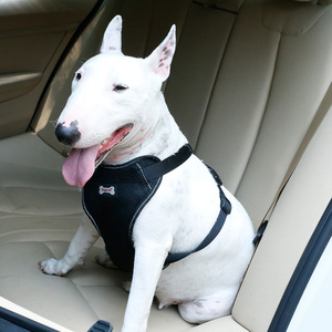Voiture de luxe Gilet De Sécurité Chien Harnais Gilet De Dressage Pour Chien De Voyage Véhicule Harnais Pour Animaux De Compagnie Avec Ceinture de sécurité - Product Image 4