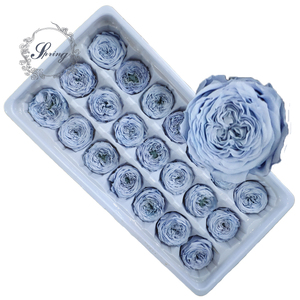 Suministro de fábrica de alta calidad 2-3 cm conservado Austin <span class=keywords><strong>mini</strong></span> Rose para caja de <span class=keywords><strong>rosas</strong></span>, cúpula de cristal de <span class=keywords><strong>rosas</strong></span> - Product Image 2