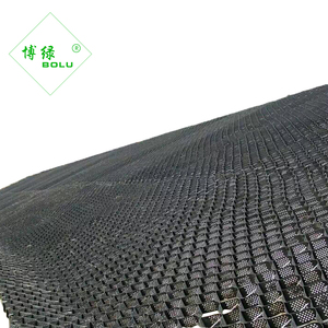 Último diseño grava esteras y hdpe estera carretera refuerzo débil suelo - Product Image 4
