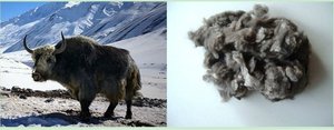 Fibre <span class=keywords><strong>de</strong></span> <span class=keywords><strong>laine</strong></span> <span class=keywords><strong>de</strong></span> <span class=keywords><strong>yak</strong></span> à bas <span class=keywords><strong>prix</strong></span> - Product Image 1