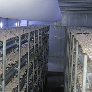 Nouveau filet de culture de champignons en polyéthylène noir réutilisable pour l'agriculture 2025, composants essentiels IoT PLC, 2500 microns, pour étagères de culture de champignons - Product Image 3