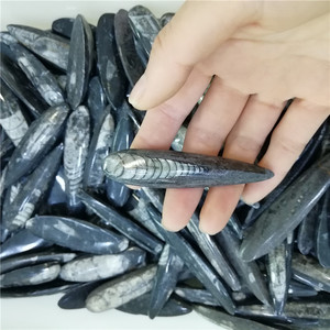 Bán Đá Hóa Thạch Sinoceras Tự Nhiên - Product Image 6