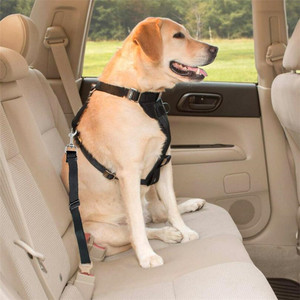 High Quality Durable Pet Cat Vehicle Leash Adjustable Black Nylon Car <strong>Safety</strong> Dog Seat <strong>Belt</strong> - Product Image 6