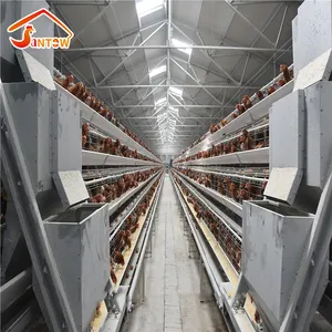 Trade Assurance Fully Automatic Build Chicken Coops / Battery Cages Laying Hens Hot sale layer poultry cages