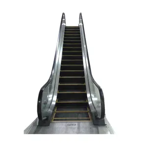 VVVF Control system Indoor Outdoor Escalator Supplier Economical Escalator Price