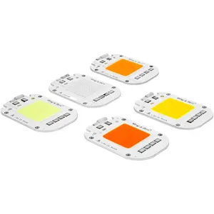 Chip IC Pintar 220V, 20W 30W 50W COB LED 50W COB dengan Hijau Merah Biru Hari Putih Hangat Putih Dingin Putih