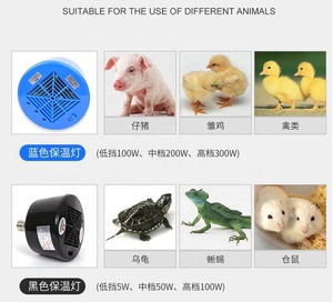 Sưởi ấm dẫn bóng đèn cho gia cầm, bò sát nhiệt đèn - Product Image 6