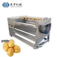 Malaysia Agricultural Machinery Stainless Steel Potato Cleaning and Peeling  Machine Vegetable Peeler (TS-P10) - China Roller Potato Peeling Machine,  Potato Processing Machine