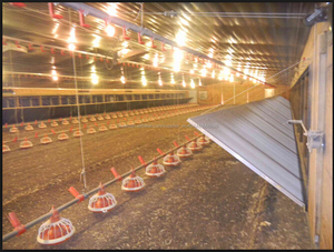 Venta caliente profesional diseño de aves de corral equipos de control de entorno de engorde/criador/turquía - Product Image 1