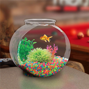 Plastic Aquarium - Product Image 3