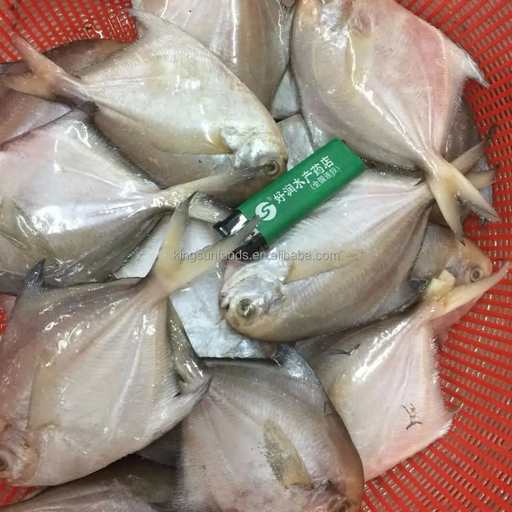 ताजा जमे हुए सस्ते कीमत जमे हुए चांदी Pomfret मछली सफेद pomfret मछली