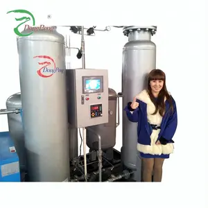 Dongpeng factory supply nitrogen generator for pipe purging is top brand generators