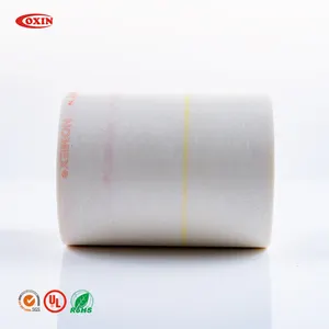 Coxin motor transformer reactor electrical AMA/NMN insulation paper Aramid paper Nomex paper