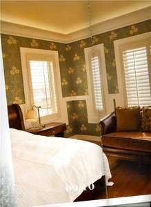 Bellissime <span class=keywords><strong>finestre</strong></span> <span class=keywords><strong>e</strong></span> persiane per piantagioni a forma di arco della porta - Product Image 6